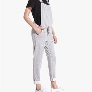 Z Supply Gray Jumpsuit